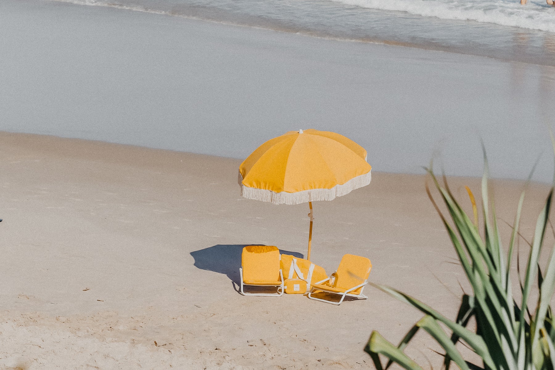 Golden Days at Wategos