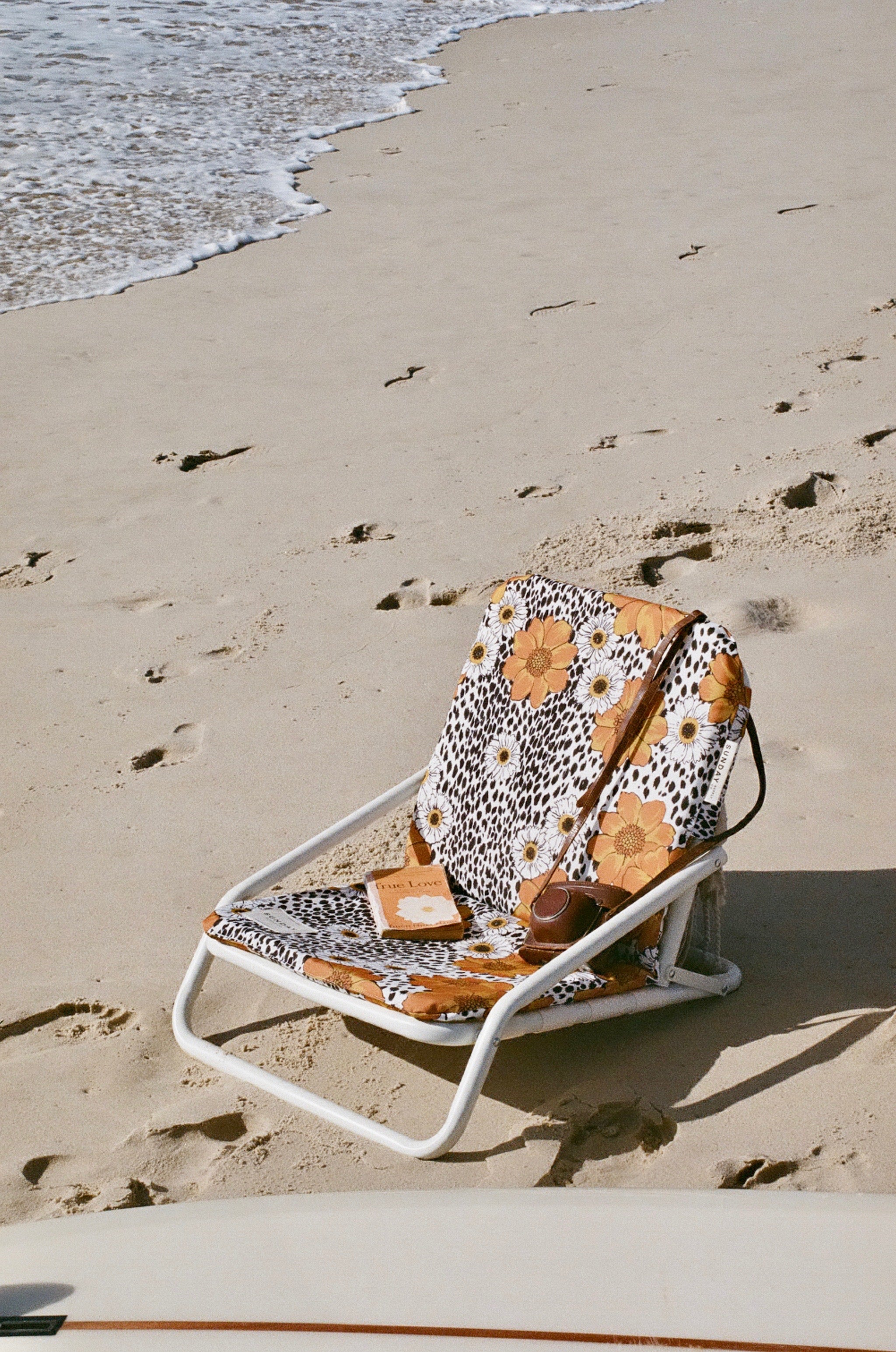 Animal Kingdom Beach Chair Set
