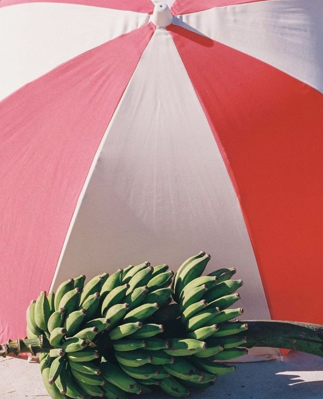 Rio Splice Light Beach Umbrella