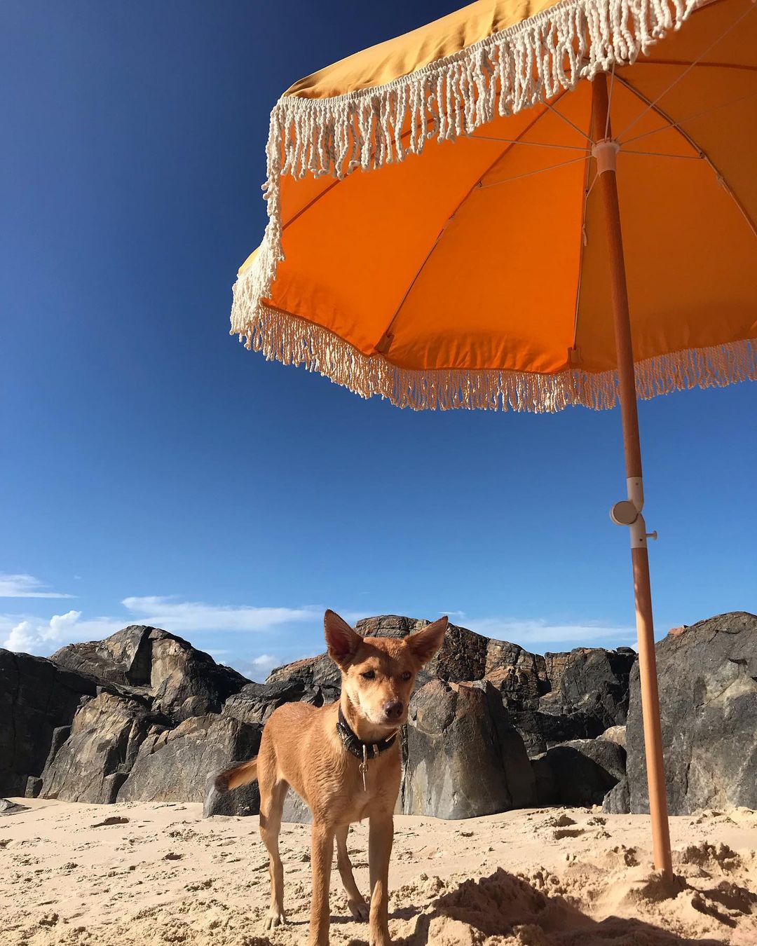 Golden Beach Umbrella