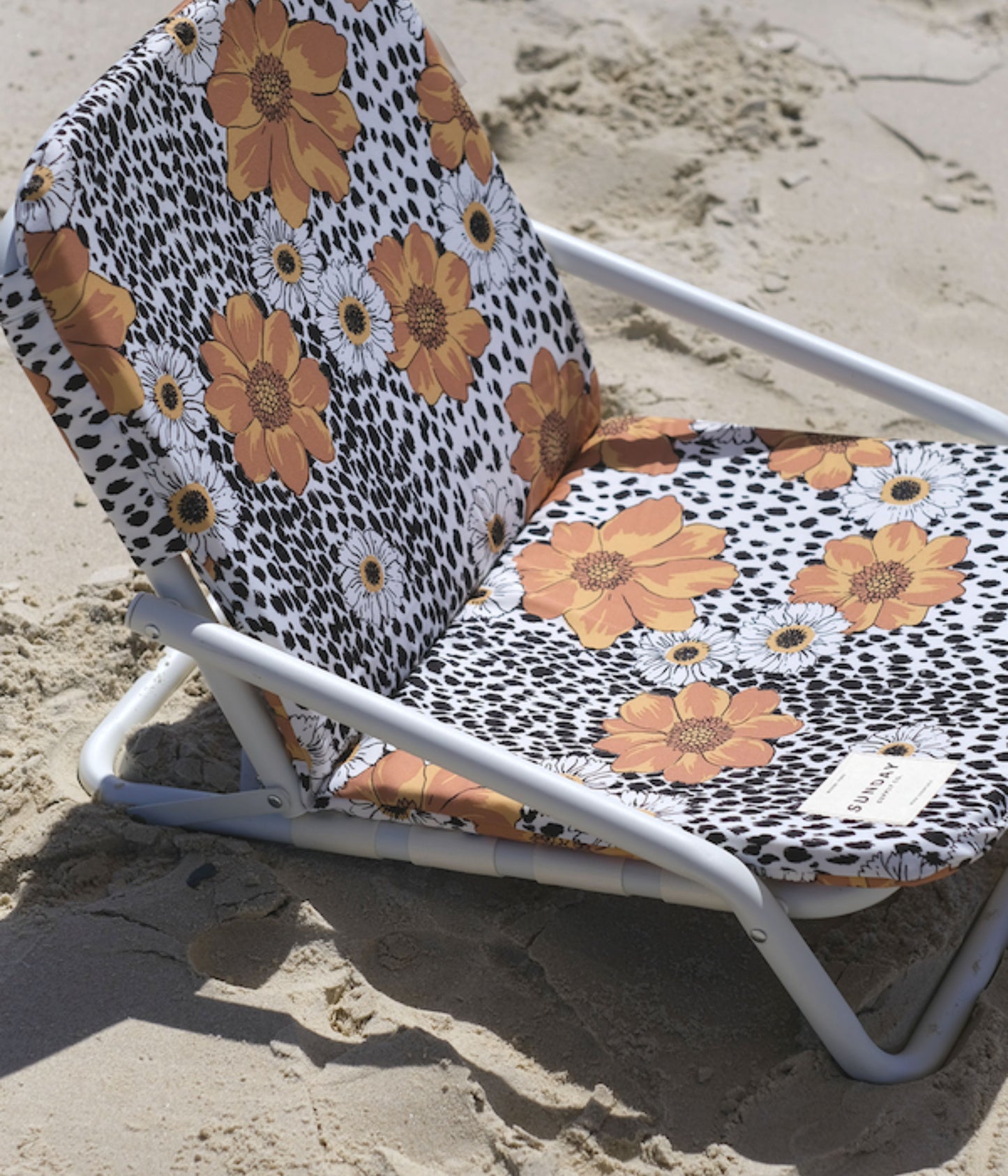 Animal Kingdom Beach Chair