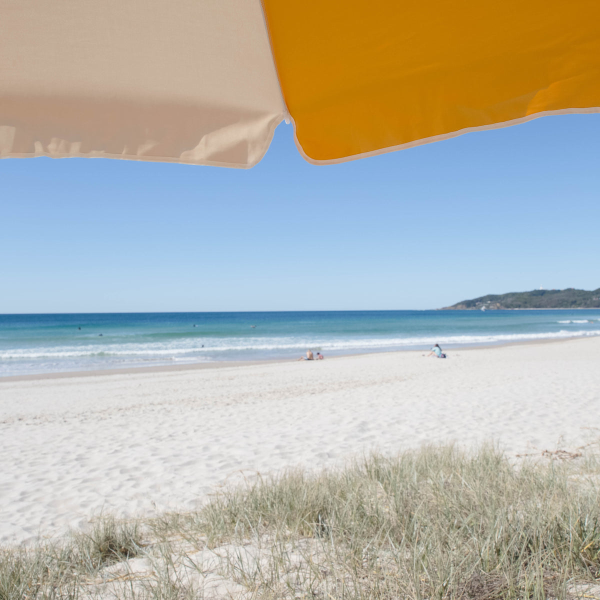 Golden Splice Beach Umbrella canopy above dune grass and blue ocean