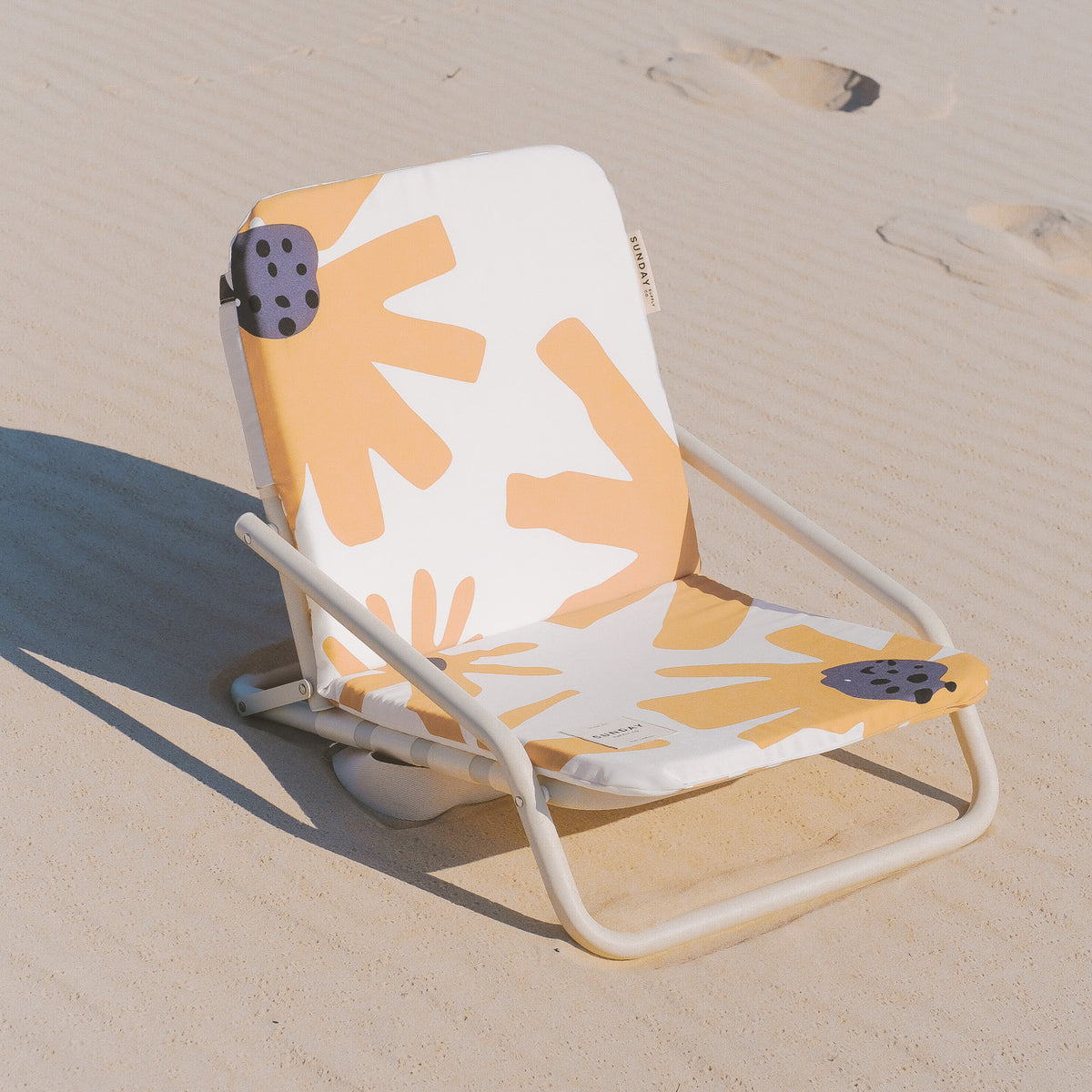 Summer Field Beach Chair Set